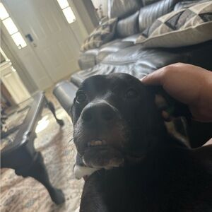 Meet your Posher, Alexander